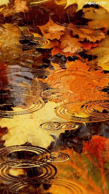 Autumn Rain mother nature moments