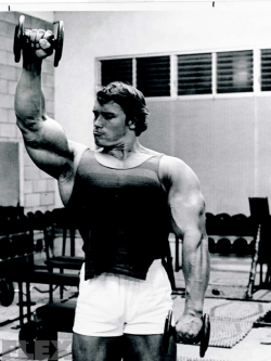 steadymirin:   always reblog arnold. 