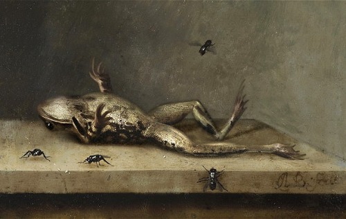 Transforming Vanitas (2012-2013), After Bosschaert The Younger’s «Dead Frog with Flies» (1630) by Ro