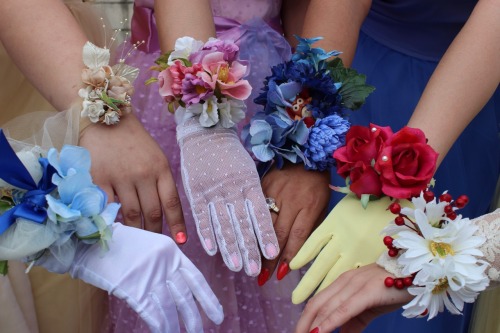 theladydamfino:Disney Princess Prom Court.