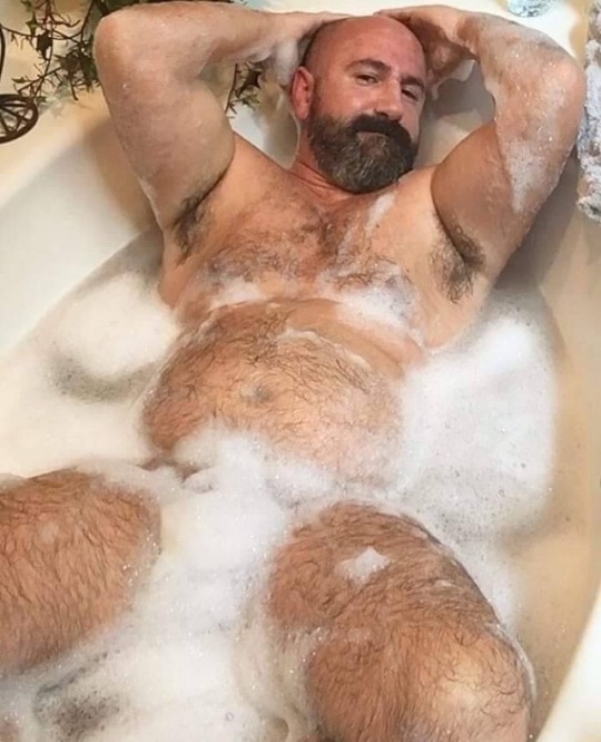 hungryforbears:  