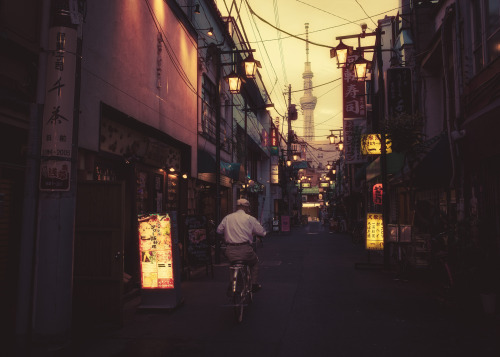 conflictingheart: Photography By Masashi Wakui