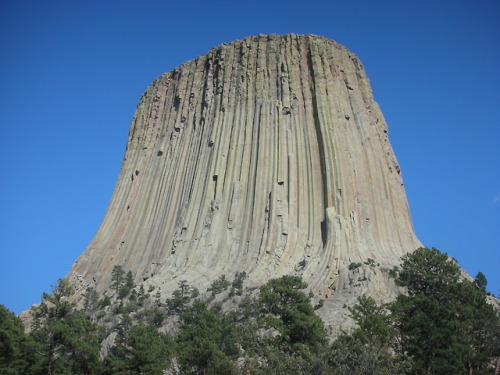 New model for formation of Devil’s Tower (Bear Lodge) Devil’s Tower National Monument in Wyoming is 