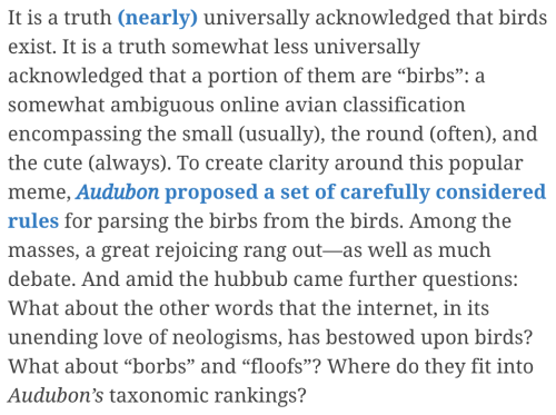 thegunlady:TIL that the Audubon Society has released official statements on the difference between a “bird”, a “birb”, and a “borb”, featuring such gems as: 