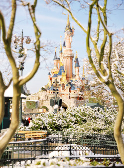 mickeyandcompany:  Snow at Disneyland Paris