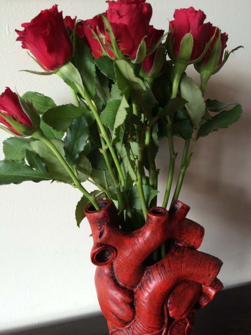 michaeldellamorte:  Anatomical Heart Vase, Red Finish, 10.5”  by Dellamorte & Co. https://www.etsy.com/shop/Dellamorteco