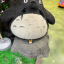corvidkidlet