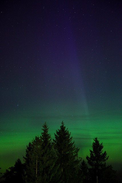 brutalgeneration:  Aurora Borealis by ScenicMotion on Flickr.