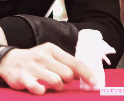 ftlsland:  ftisland folds….fancy napkins (x) 