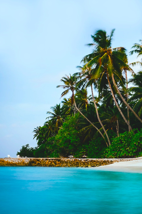 Paradise