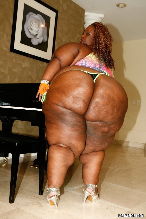 BBW'S & SSBBW'S