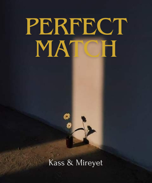 Perfect match  Ab72aeb5d8fa64064011d646300418b9064e12e5