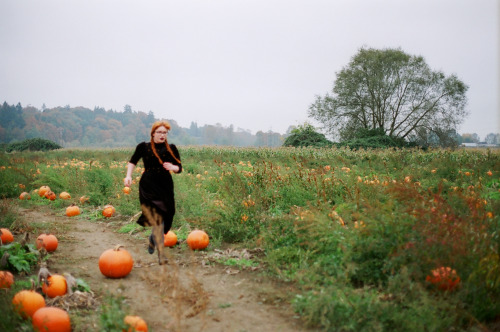 sierramckenzie: <3 halloween pumpkin patch masterpost. me by dylan staley
