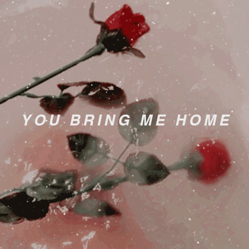 gentlemanlyrics: sweet creature // harry styles