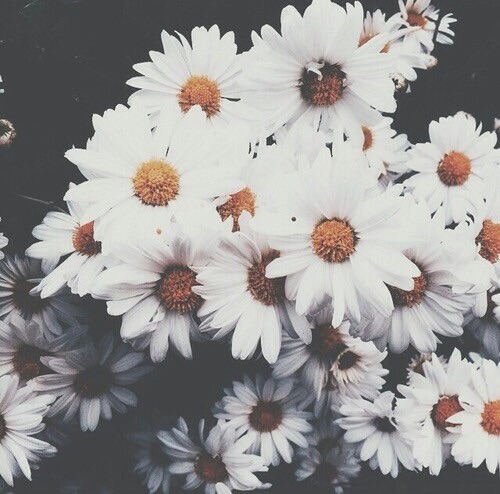 H e a l i n g