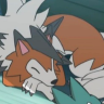 strandedcrow:tumblr genuinely has some of the best memes out there solely because they’re so specific and situational, with the joke being carried in the topic instead of the format. like twitter memes are based on relatability, tiktok memes are so