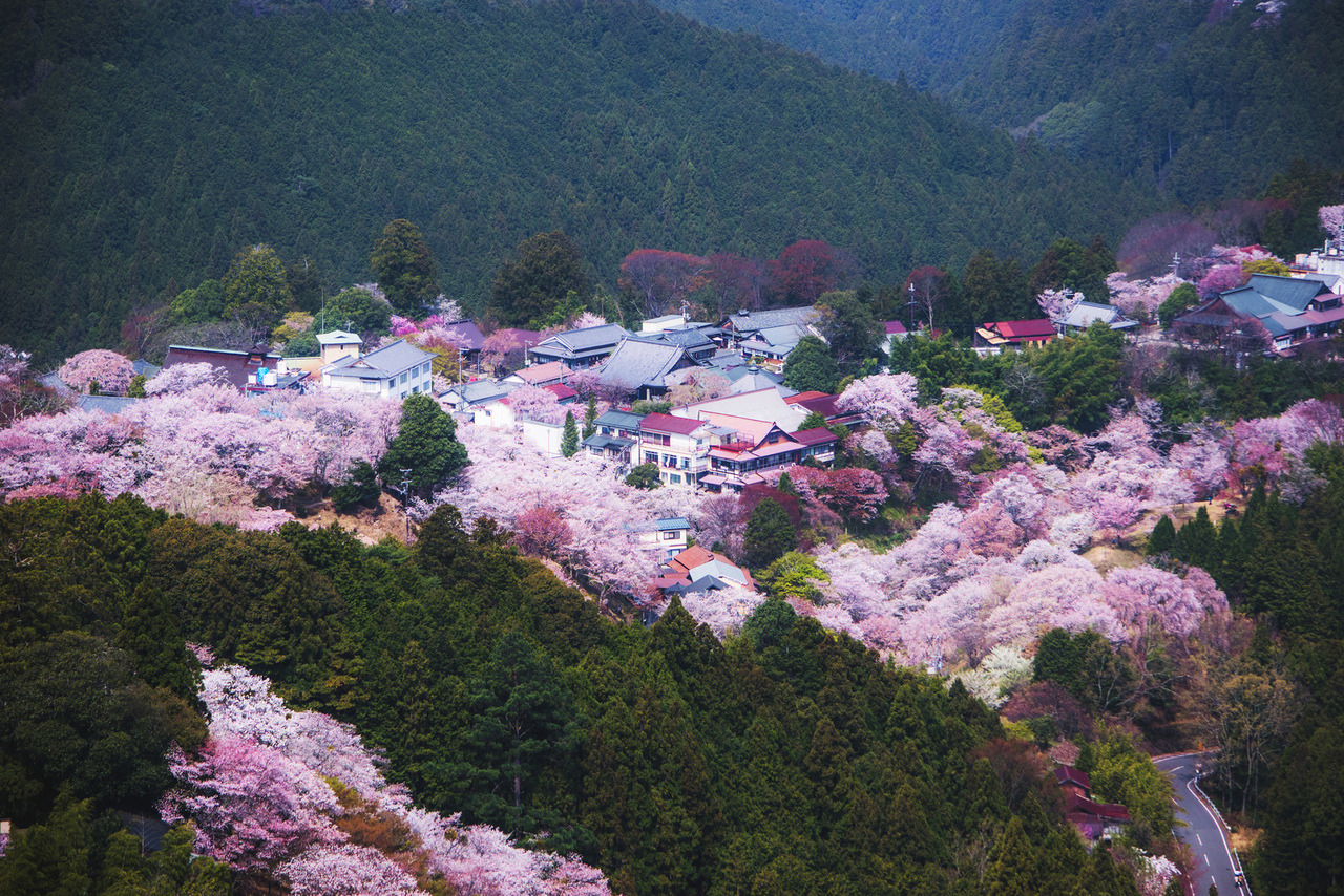 inefekt69: Mt Yoshino - Nara, Japan - Tumblr Pics