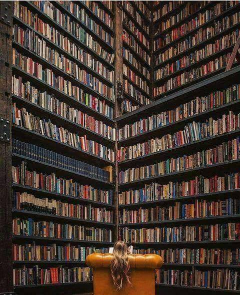 submissivecatalyst:  cozytreehouse: Amazing. 🍁   Ideal 