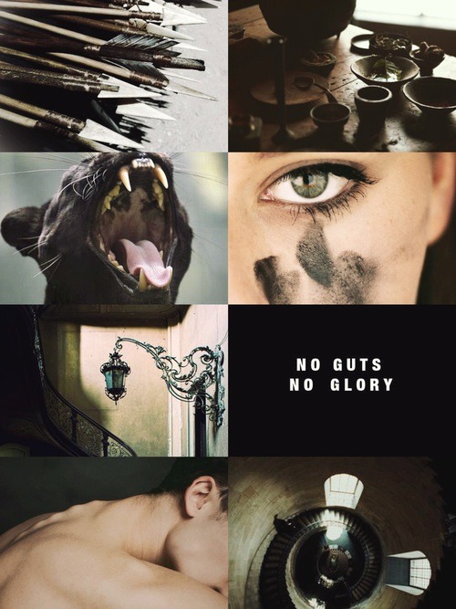 Ilvermorny Houses Aesthetics: