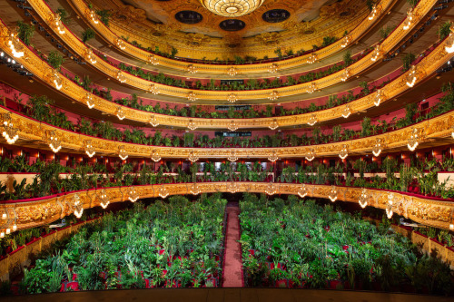 itscolossal: 2,292 Plants Fill the Audience in Opening Performance at Barcelona’s Gran Teatre 