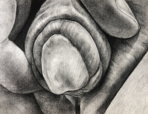 phillipdvorak:  Untitled (Jewel), charcoal