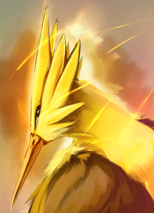 thewinterraven: The TIngliest Bird Moltres         &nbs