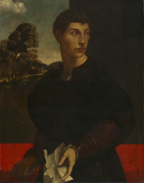 cma-european-art: Portrait of a Young Man, Dosso Dossi , c. 1530, Cleveland Museum of Art: European 