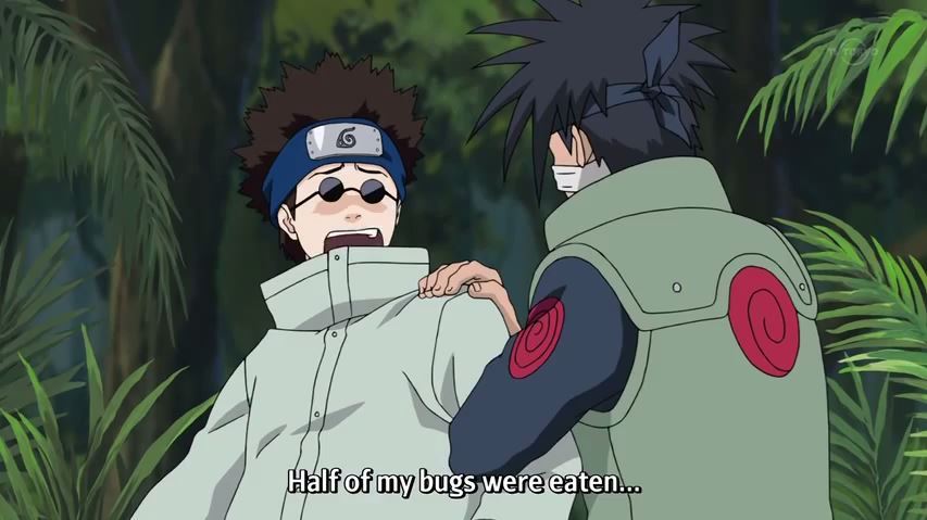 sarutobikonohamaru:  SHINO NAMED ALL OF HIS BUGS. 