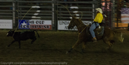 Calf Roping. 