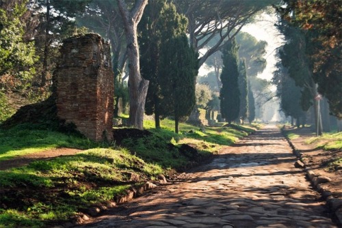 blondegingersaxon:omellete:sixpenceee:2,300-year-old Roman road in Italy. Via hereAesthetic af VIA A