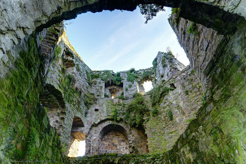 allthingseurope:Trim Castle, Ireland 