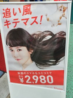 Highlandvalley:  “節子、それ向かい風や！ Https://T.co/Uodo1Qhgog”