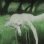 moths-my-beloved