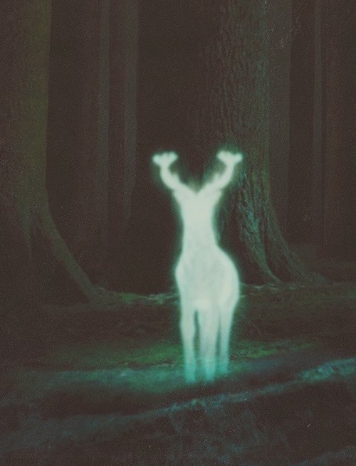http://evermemories.tumblr.com/post/82446759358