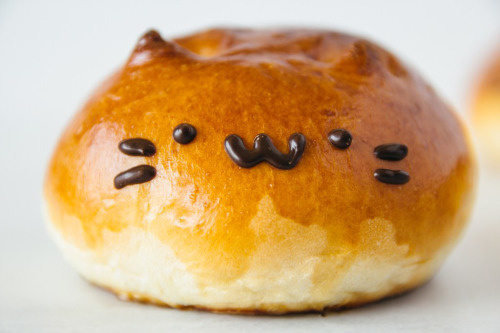 atmeal012:Cats anpan（ネコ あんぱん） Anpan is a round soft bread with azuki bean jam in its center.