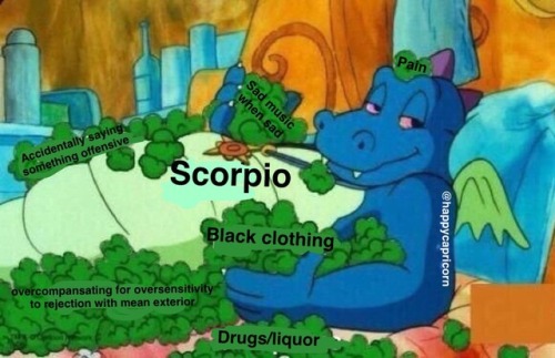 happycapricorntumble:Dragon Tales Meme Part One