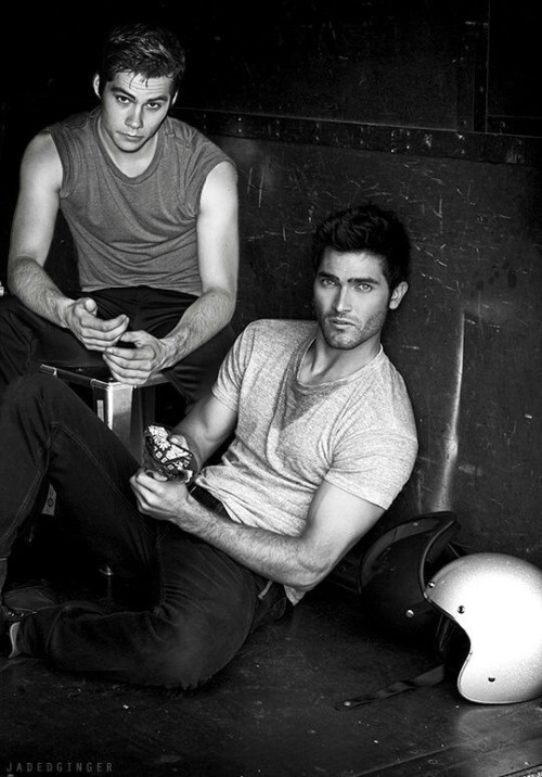 Sterek Crack #1