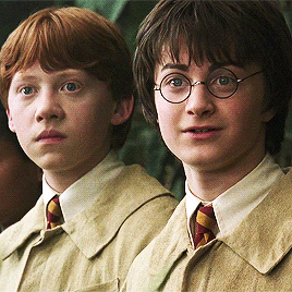 harrypottersource: Who here can tell me the properties of the Mandrake root? Yes, Miss Granger?