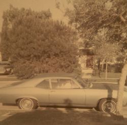 dirt-babe:My uncle’s old car, Lakewood,