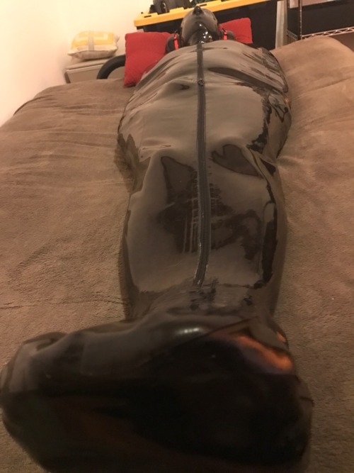 dreadfire:Skoll starting off his weekend of rubber bondage and gimping. First a nap in his sleepsack