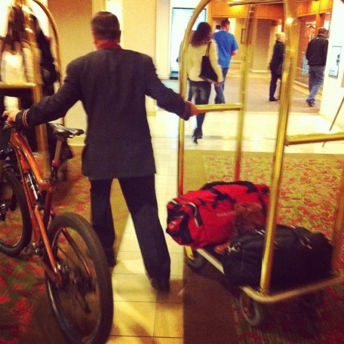 Bell hop, please show the Nomad her room. (at Hilton Los Angeles/Universal City)