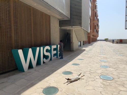 One of Masdar City’s many resident cats stretches in the sun.> Photo: Anthony Flint.