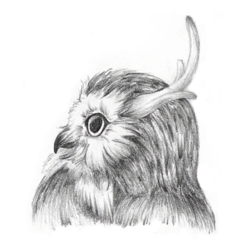 woodpengu