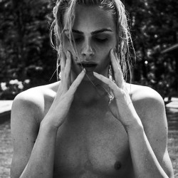 paintedfaceboy:    Andrej Pejic  