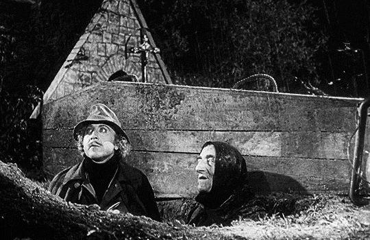 rockyp77mk2: esmeralda: Young Frankenstein (1974) dir. Mel Brooks 2020 in one film clip.