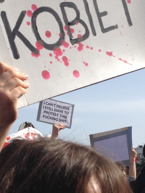 iblamenikilauda: Polish men and women gathered today in front of the parliament. We protested agains