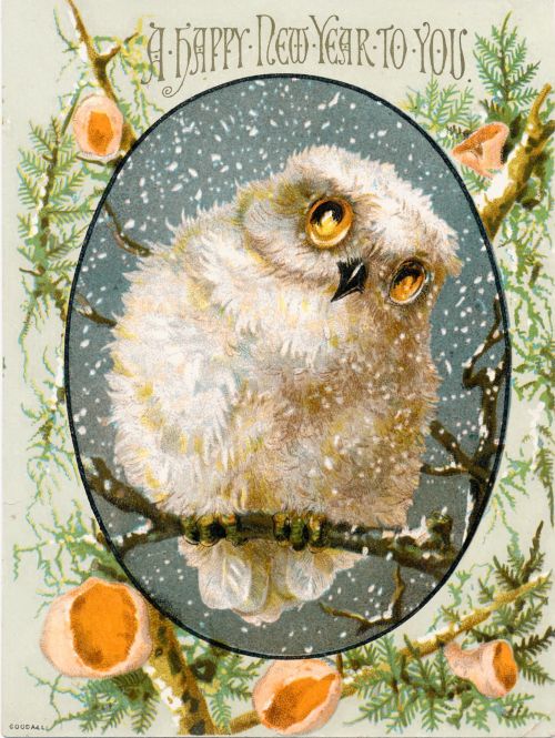 weirdchristmas: Evil owl sees your sins!