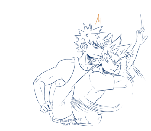 franeridart:He misunderstood