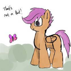 Scoot-Scootaloo:  Congratulations Scootaloo You Have Correctly Identified What It