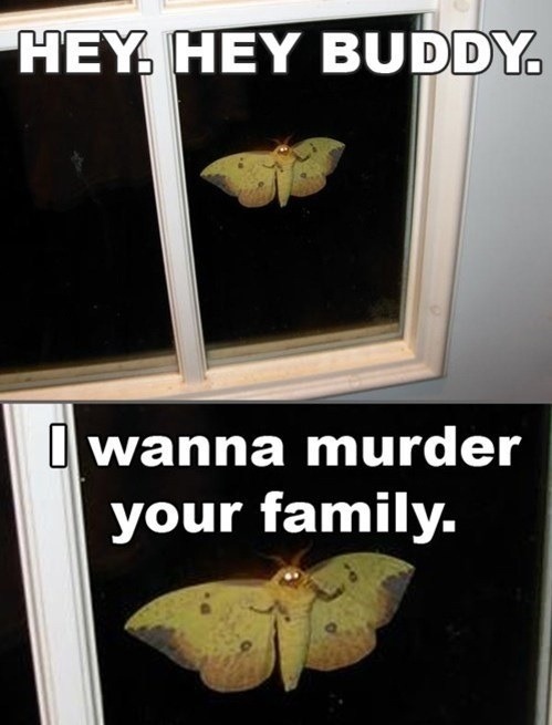 hilarioushumorfromouterspace:  Check out this blog if you enjoy wasting your life!